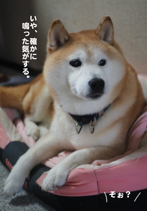 15日夕ブログ４