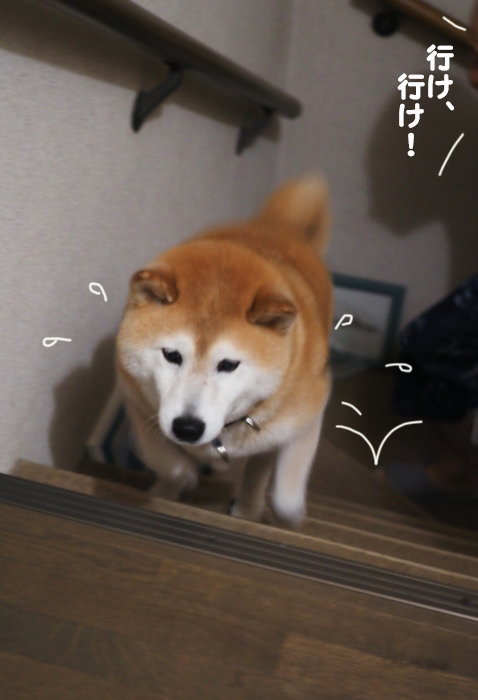 7日夜ブログ3