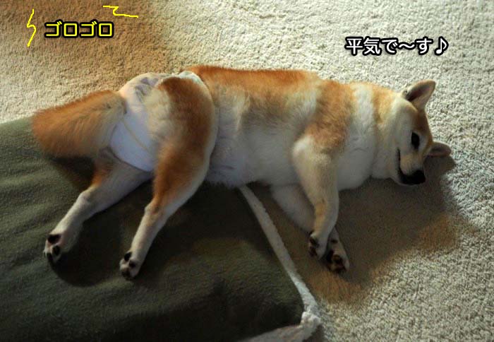 24日夕ブログ１１