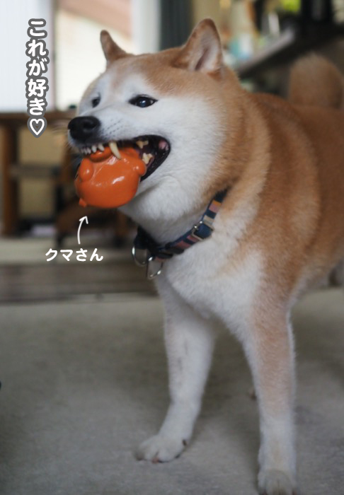 16日夕ブログ２