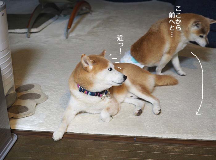 23日ブログ６