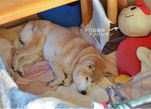 10日ブログ２.jpg