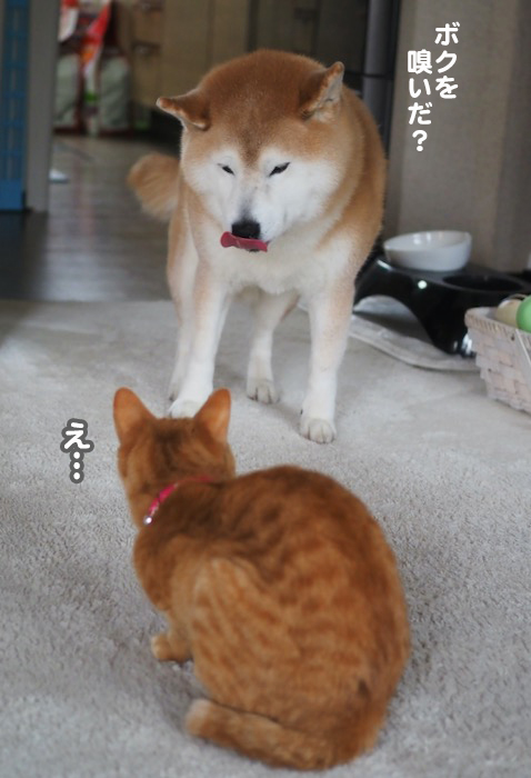 30日夕ブログ５