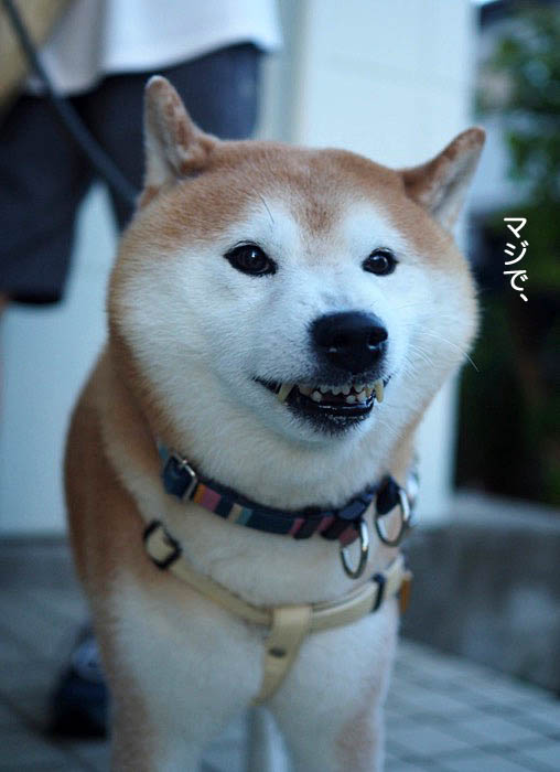 1日夕ブログ２