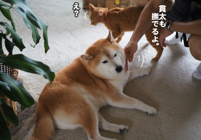 16日夜ブログ３