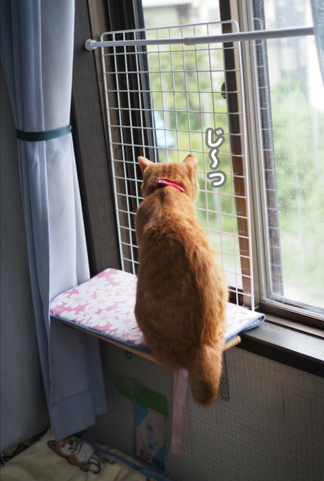 27日夕ブログ２
