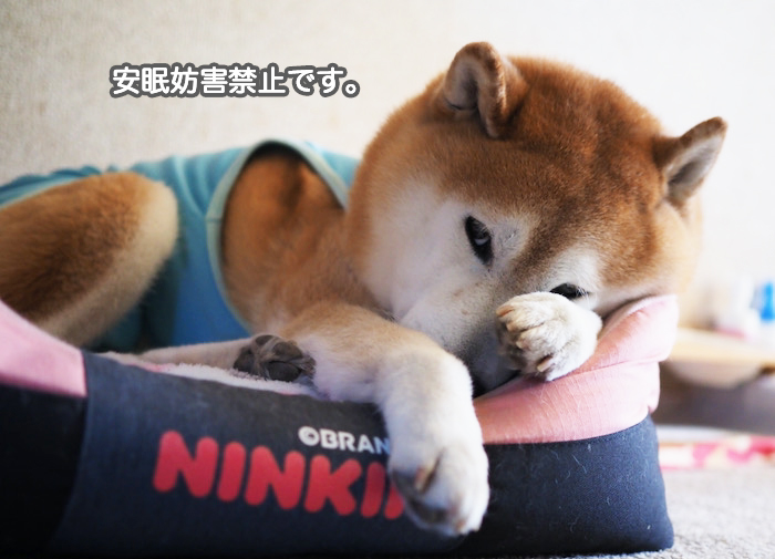 2日夜ブログ４