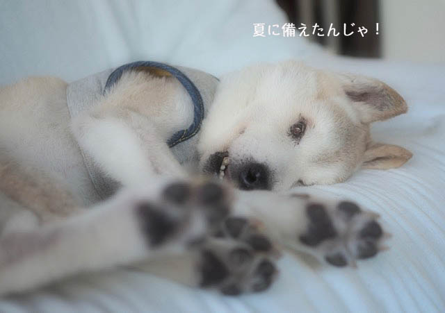 2日ブログ4