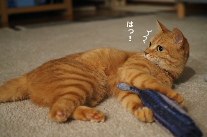 18日夕ブログ２)