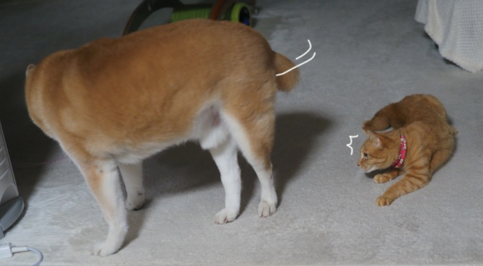 16日ブログ３