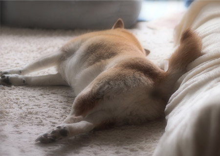 10日ブログ2.jpg