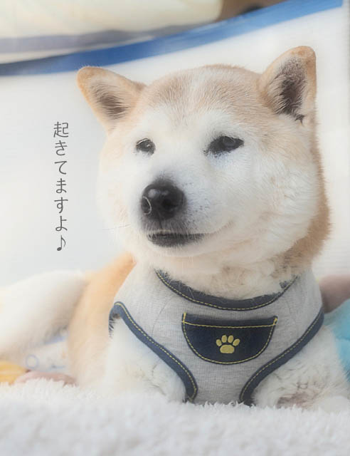 5日ブログ7