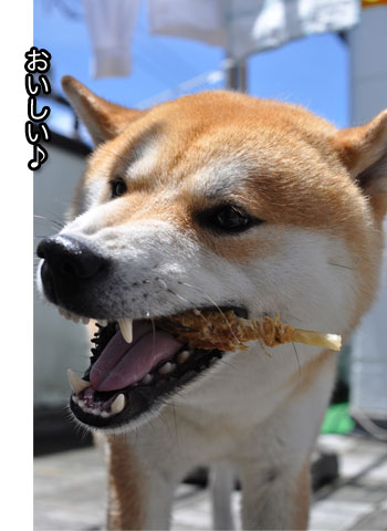 18日ブログ14.jpg