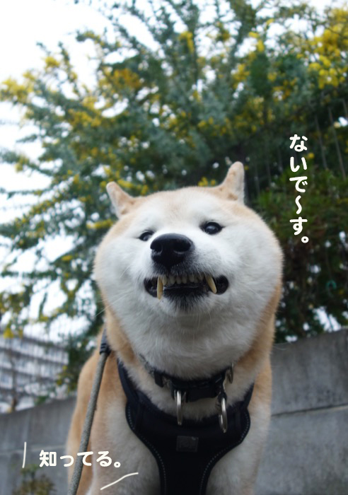 12日ブログ６