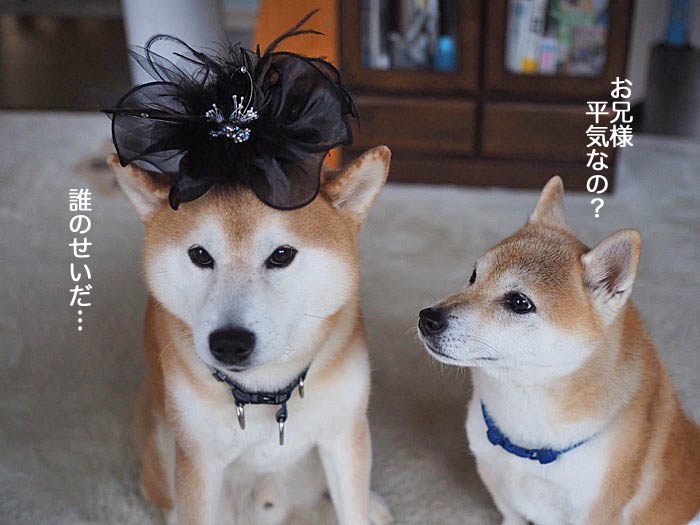 29日午後ブログ７