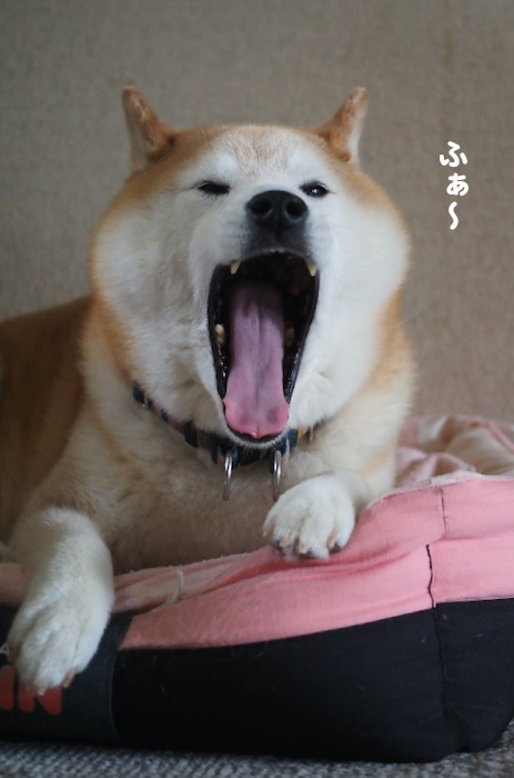 10日ブログ４