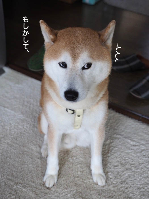 24日ブログ４