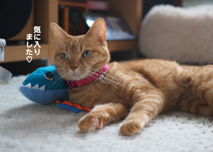 24日夕ブログ９