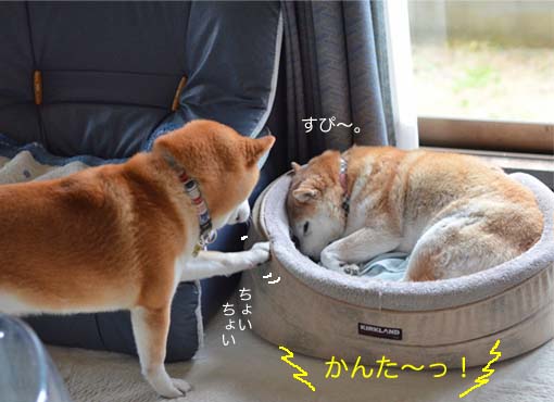 13日ブログ7.jpg