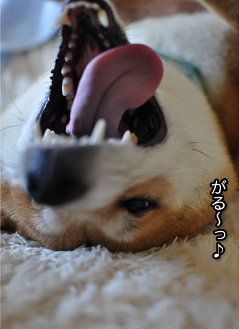 9日ブログ12.jpg
