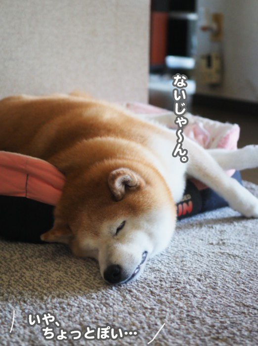5日夕ブログ７