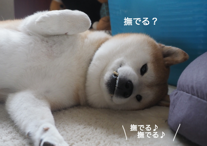 21日ブログ５