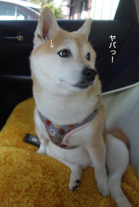 16日ブログ6