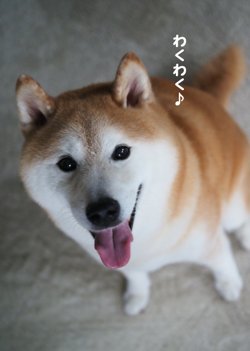 7日夕ブログ４