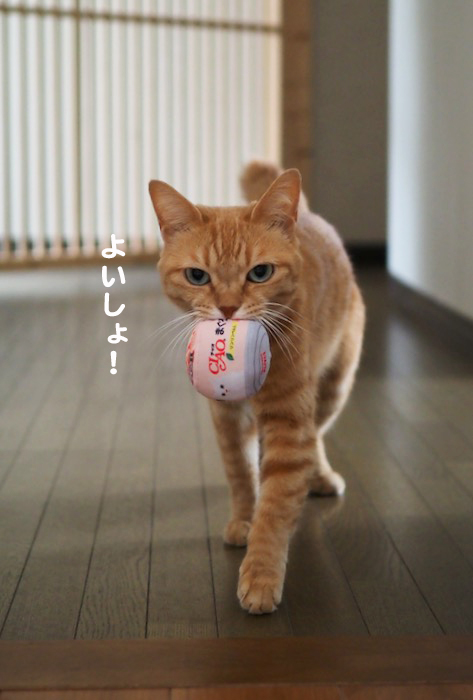 30日夕ブログ４