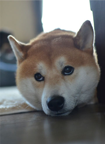 28日ブログ9.jpg