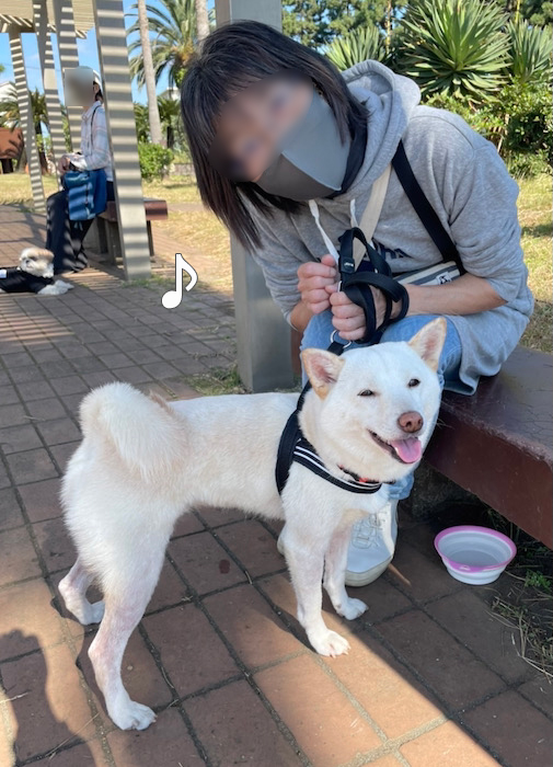 29日夕ブログ１５