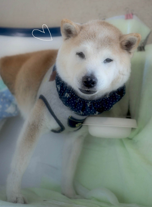 18日ブログ９