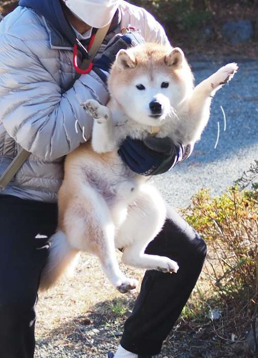 10日夕ブログ７