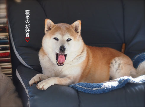 10日ブログ8.jpg
