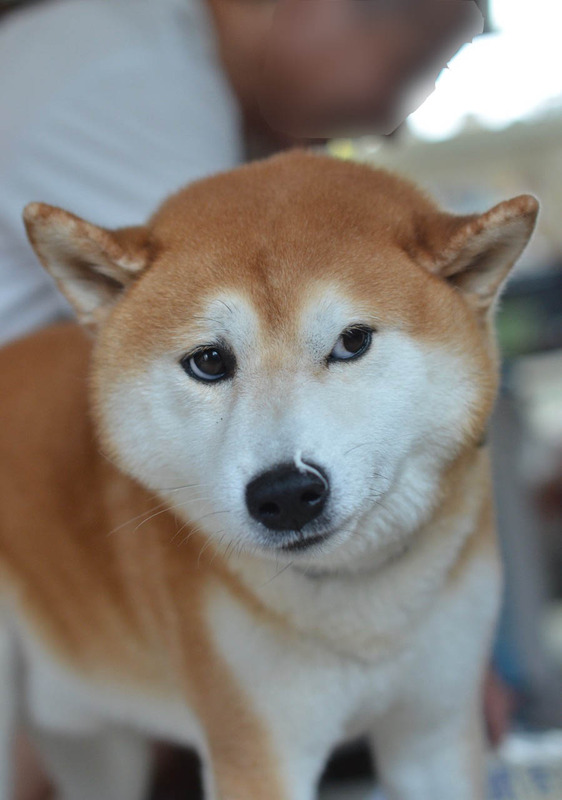 11日ブログ5