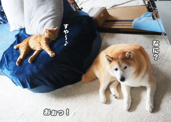 25日ブログ１