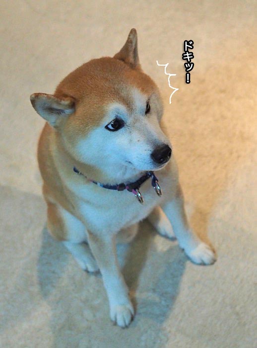 16日ブログ３