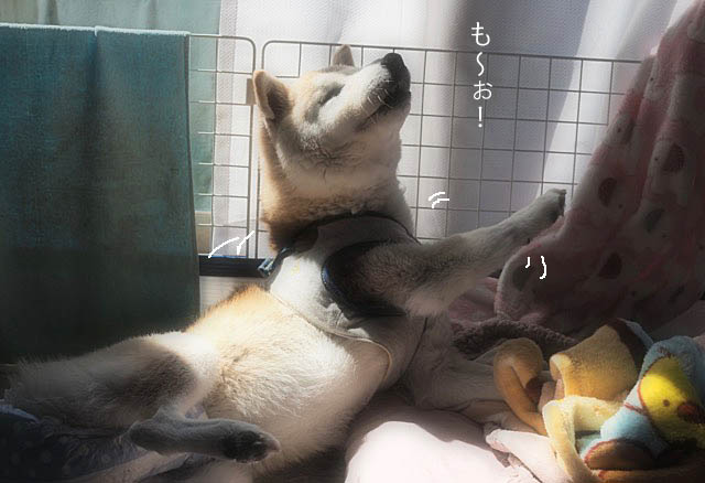 11日ブログ5