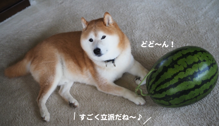20日夜ブログ２