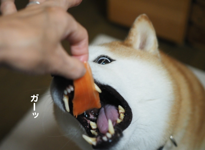 30日夜ブログ11