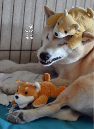 30日ブログ8.jpg