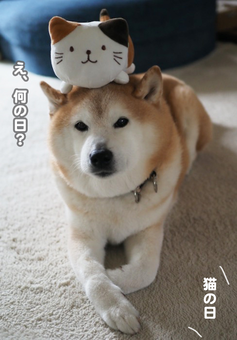 22日ブログ８