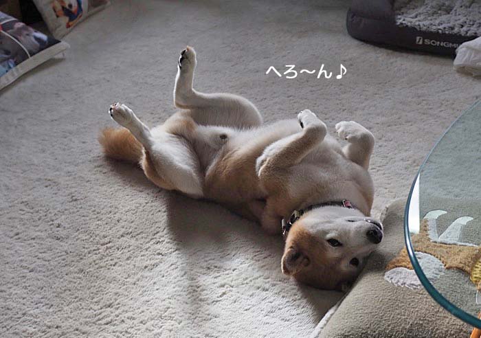 11日ブログ3