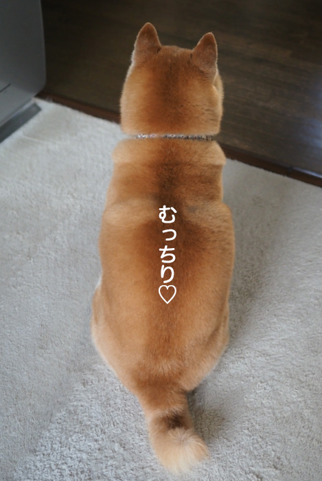 11日夜ブログ６