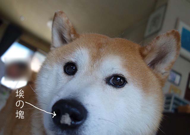 28日ブログ3