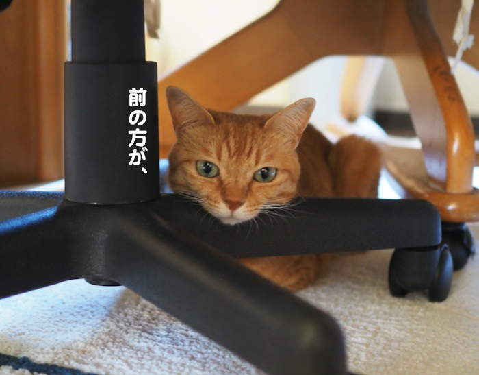 15日夜ブログ２