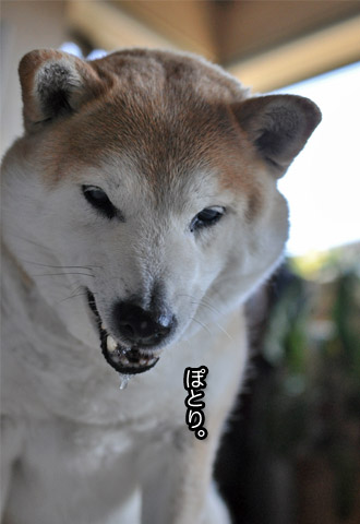 7日ブログ14.jpg