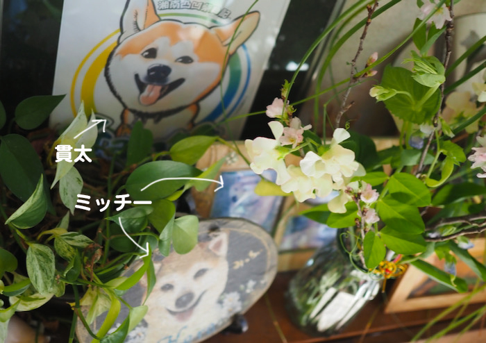 4日夕ブログ２