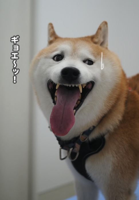 2日夕ブログ９