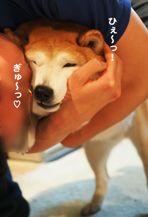 14日ブログ6